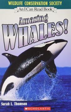 Imagem de AMAZING WHALES