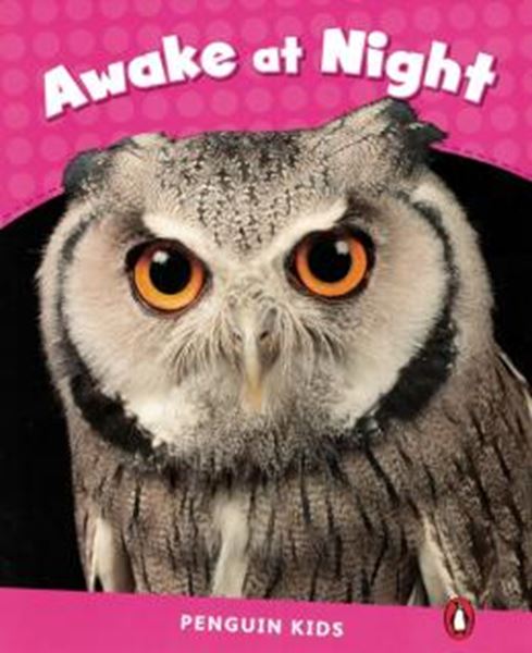 Picture of AWAKE AT NIGHT