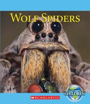 Imagem de WOLF SPIDERS