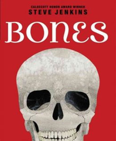 Picture of BONES - SKELETONS AND HOW THEY WORK