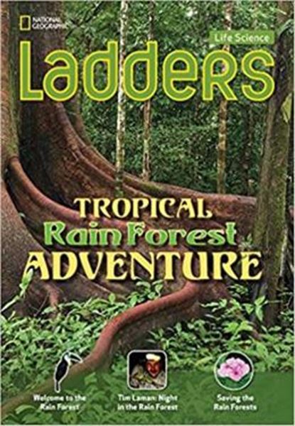Picture of LADDERS - TROPICAL RAIN FOREST ADVENTURE - BELOW LEVEL