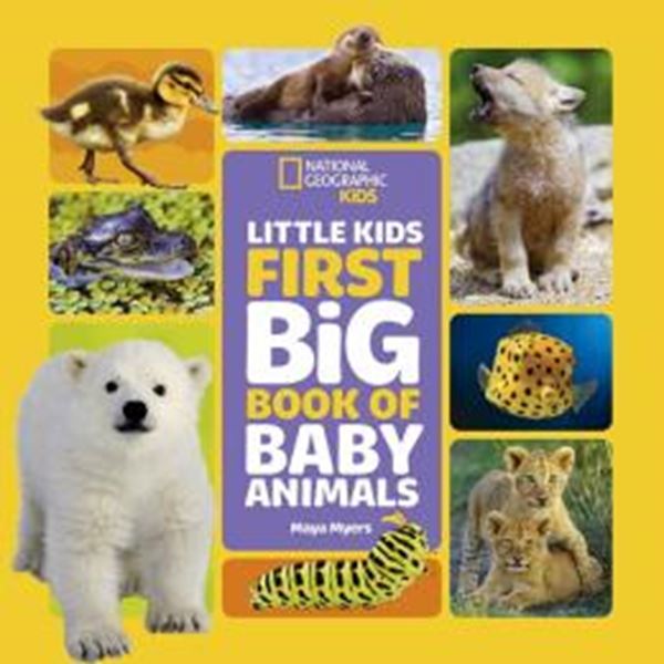 Picture of LITTLE KIDS FIRST BIG BOOK OF BABY ANIMALS