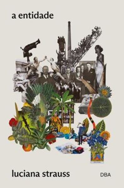 Picture of A ENTIDADE