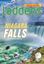 Imagem de NIAGARA FALLS - SOCIAL STUDIES LADDERS - ON-LEVEL